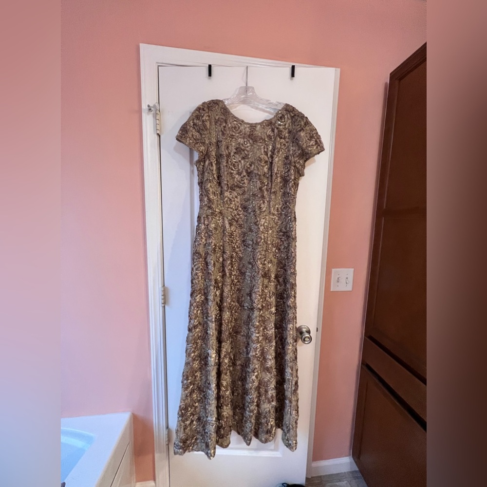 Women’s size 16 sequins dress. Floor length. It is an Alexander Evening dress.